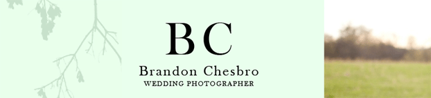 Source: BrandonChesbro.com